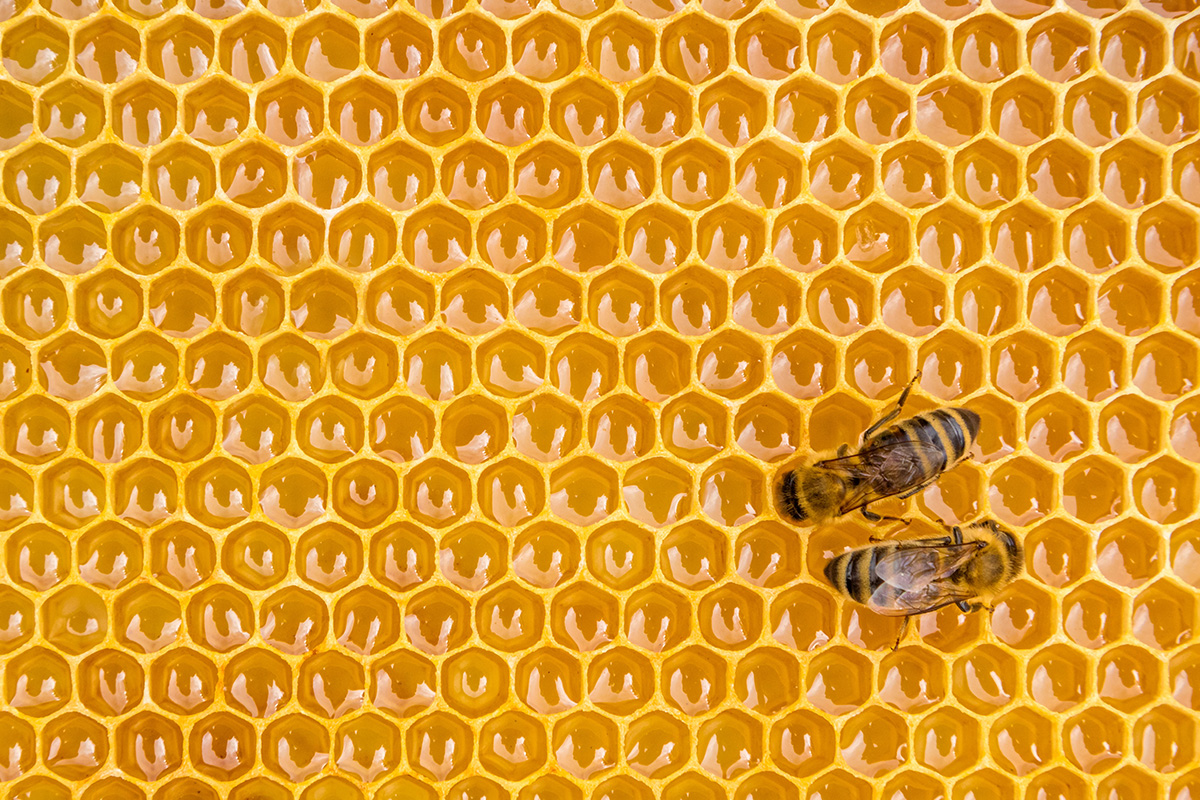 Advokatska kancelarija - Omerović - Rakić - Partners - Usluga Radno pravo